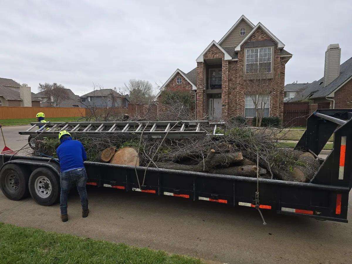 Expert Tree Fertilization with proper safety equipment in Harmon